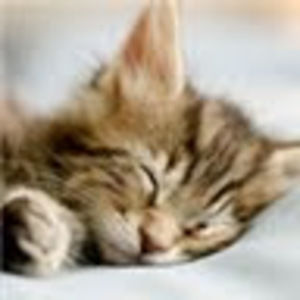 Meet your Posher, Ron